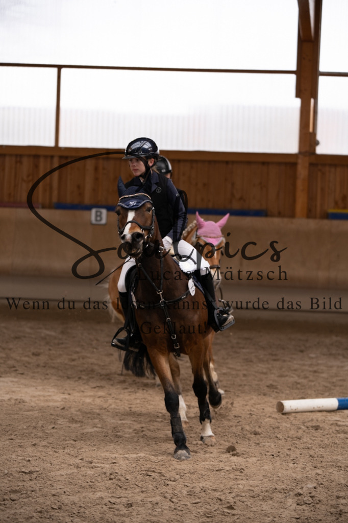 A7V00353 | Pferdefotograf