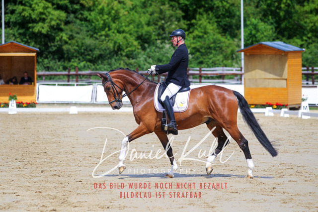 DKP46015 | Turniersportfotografie; Pferdefotografie; Dressurfotografie