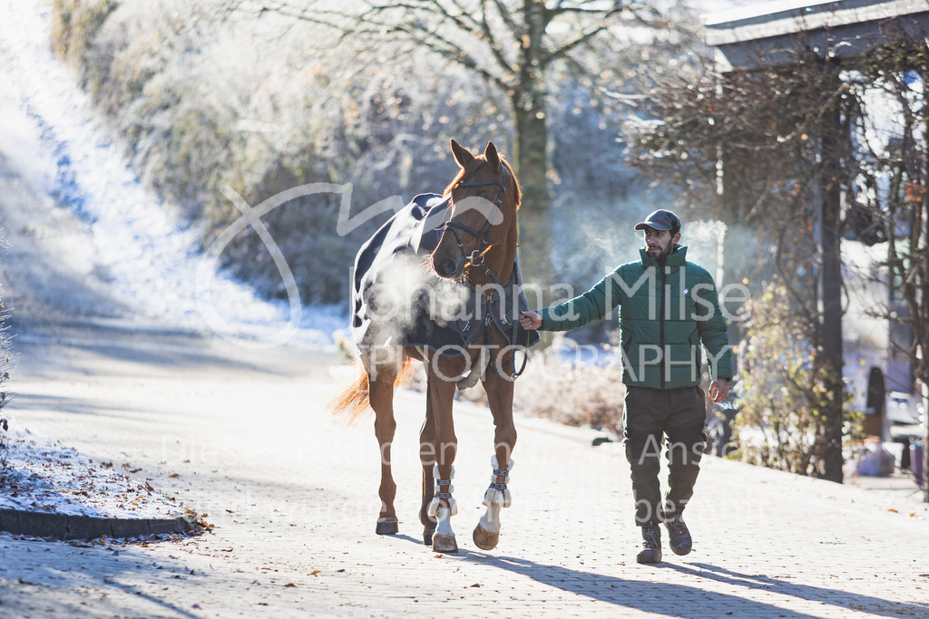 221216_Warstein_Impressionen-102 | Deine schönsten Turniermomente als professionelle Fotos! Entdecke hochwertige Pferdesport-Fotografie im Online-Shop. Jetzt Fotos finden & bestellen!