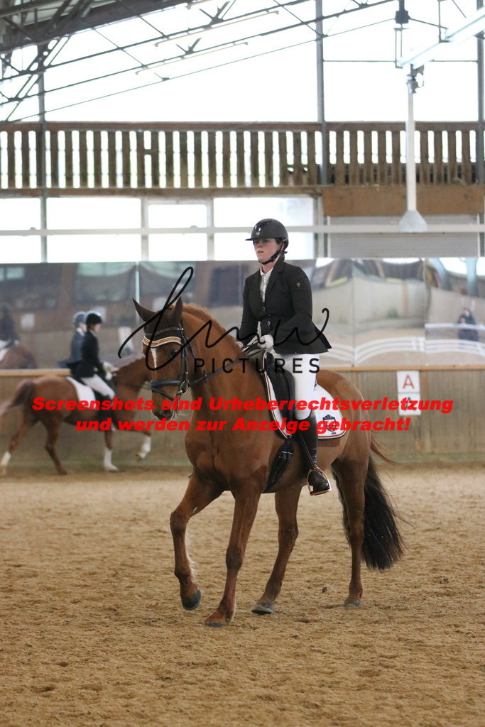 IMG_6966 | lmwpictures - Realisiert mit Pictrs.com