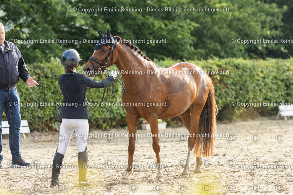 CL5A3668 | Emilia Reinking Fotografie - Realisiert mit Pictrs.com