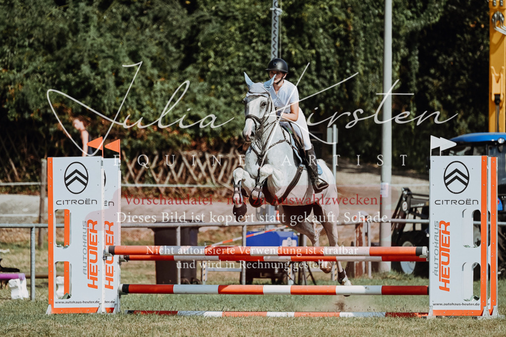DSC_9579 | Pferde- und Turnierfotografie in Westsachsen. Pferdeportraits, Auftragszeichnungen und intuitive Kunst.