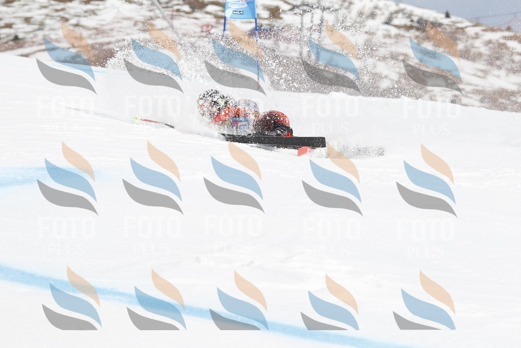 _U3G1533 | holidayphoto