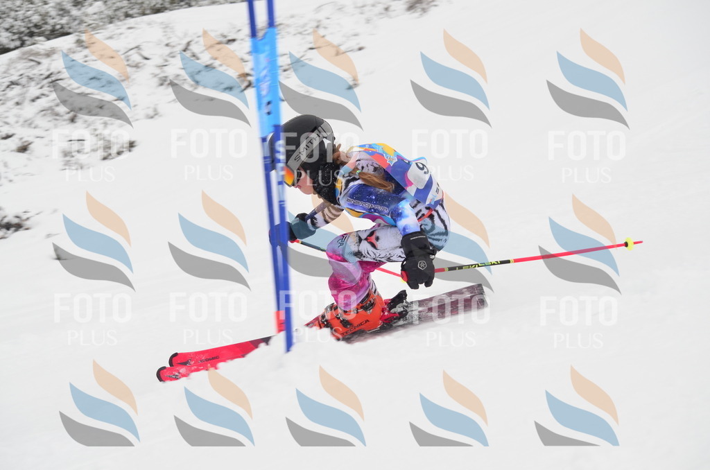 C0592 | holidayphoto