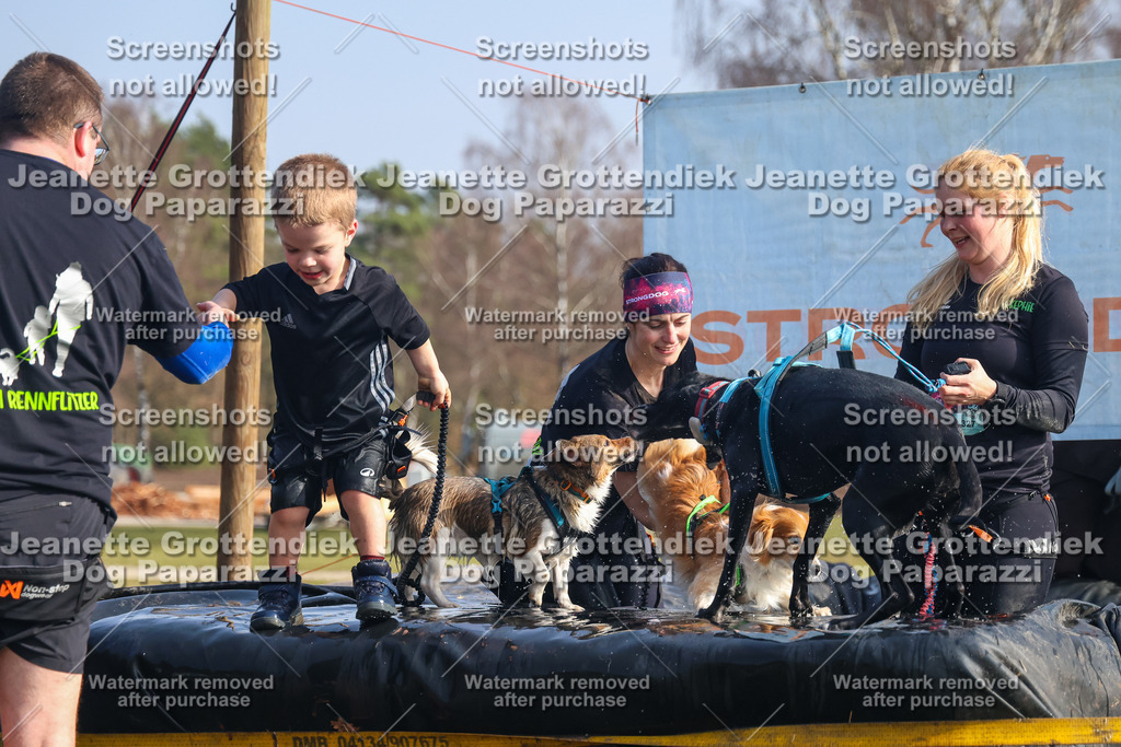 Dog Paparazzi - Strongdog North Mrz26-1875 | Dog Paparazzi Jeanette Grottendiek Fotografie & Videografie - Realisiert mit Pictrs.com