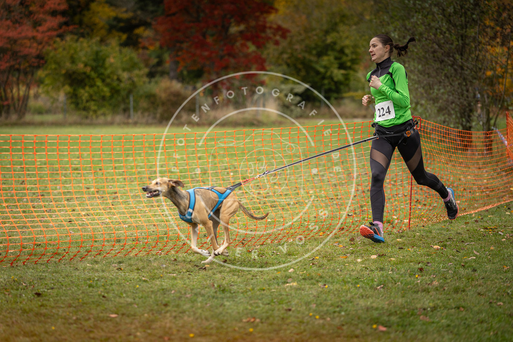Pfotenfotografie_DV3A4604 | Hundefotografie, Tierfotograf, Pfotenfotografie, Fotoshooting Hund, Hunde Portrait, Hundesport, Hundeportraits, Heideshooting, Hunde, Sportfotograf, Hundefotograf, Turnierhundsport, THS,  - Realisiert mit Pictrs.com