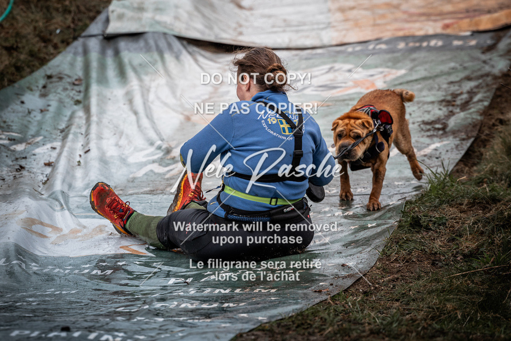 nelerasche_1130-1230_275 | nelerasche