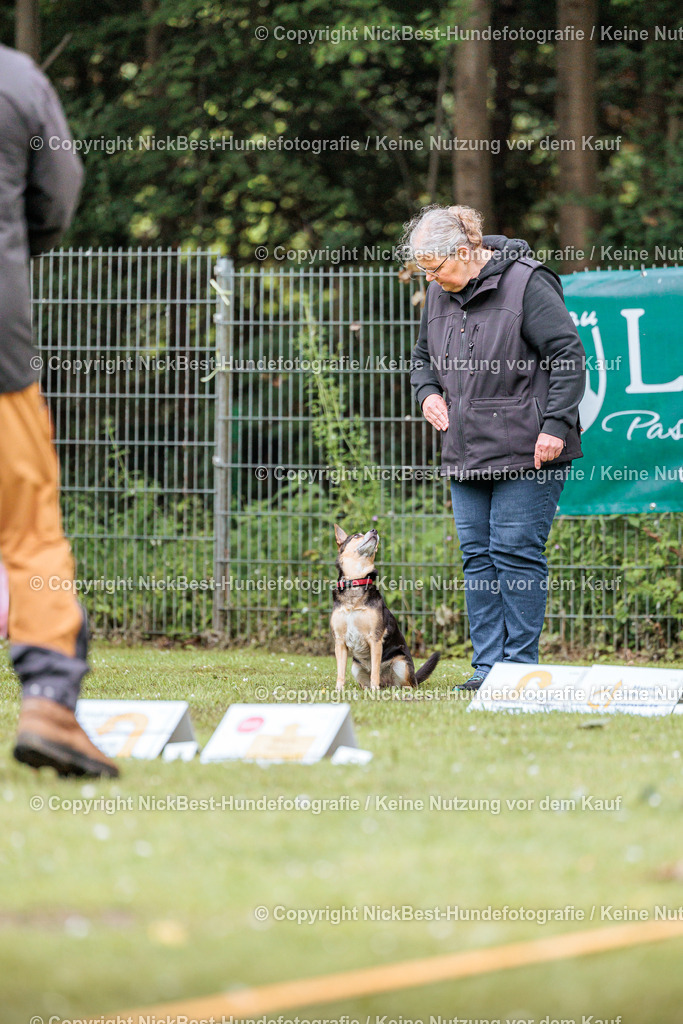 RO-Blumenthal-2026-Nickbest-Hundefotografie-4483 | Dein Hund! Dein Moment! Deine Erinnerungen! Hundefotografie in Bremen Blumenthal. Ich fange die besonderen Momente deines Vierbeiners ein – ob Indoor mit Blitzanlage oder in der freien Natur. Sicher dir dein Moment und dein Termin für eure Erinnerungen.