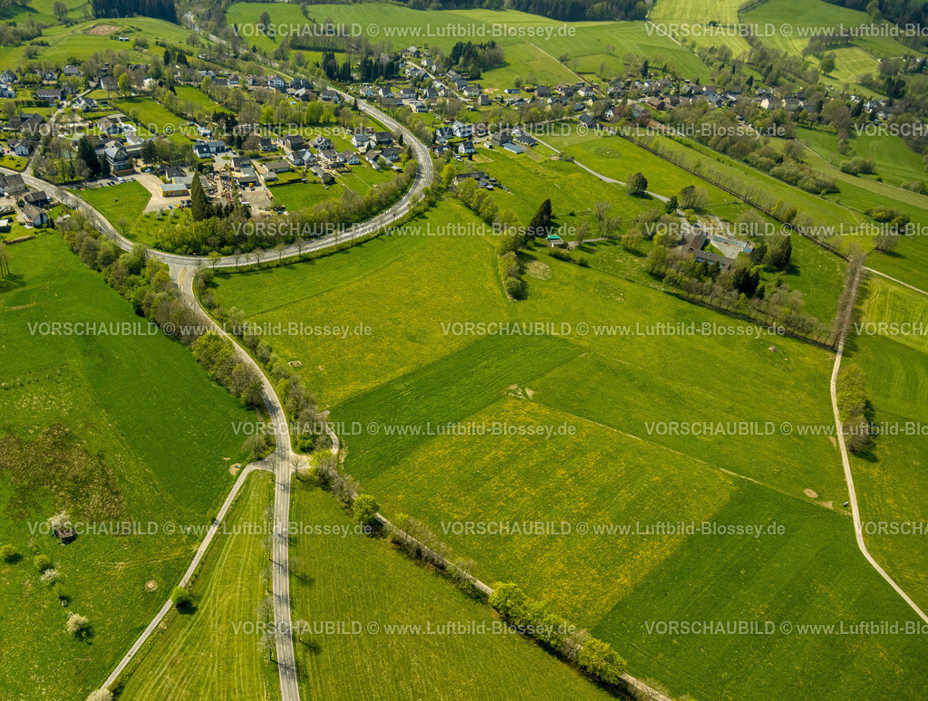 Monschau240502291 | Luftbild, Wiesen und Felder mit Narzissenblüte, Wegkreuzung und Baumallee an der Schleidener Straße und Schafstrift, Formen und Farben, Wohngebiet Höfen, Monschau, Nordrhein-Westfalen, Deutschland