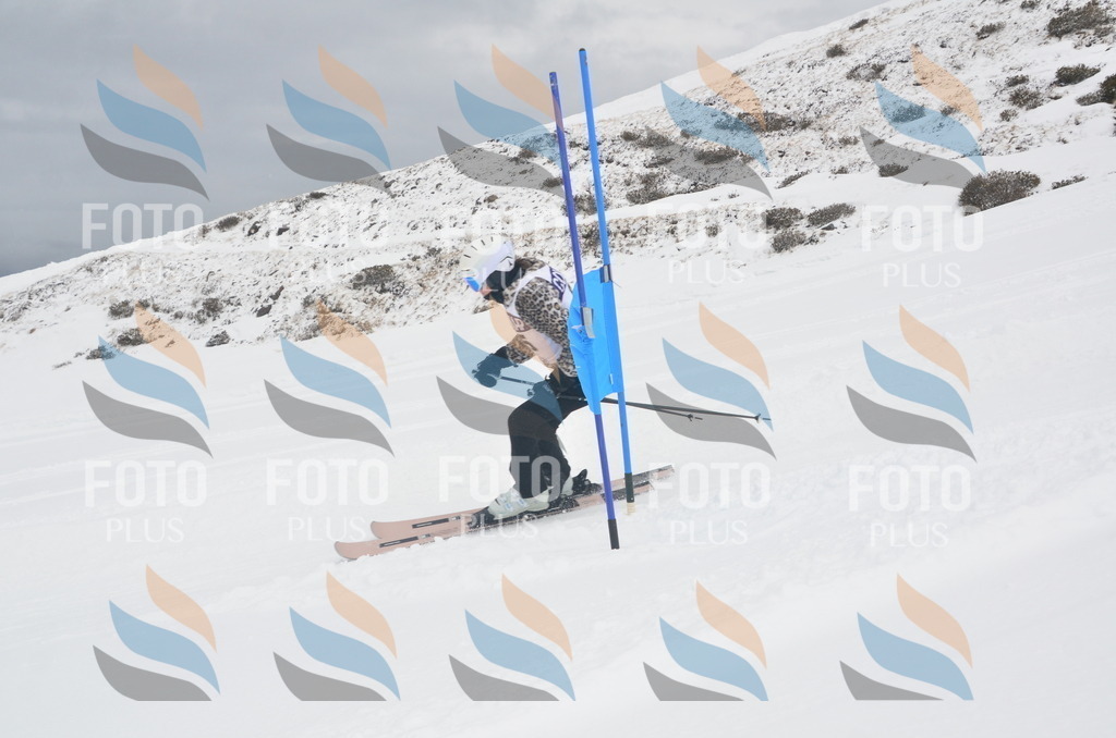 A5734 | holidayphoto