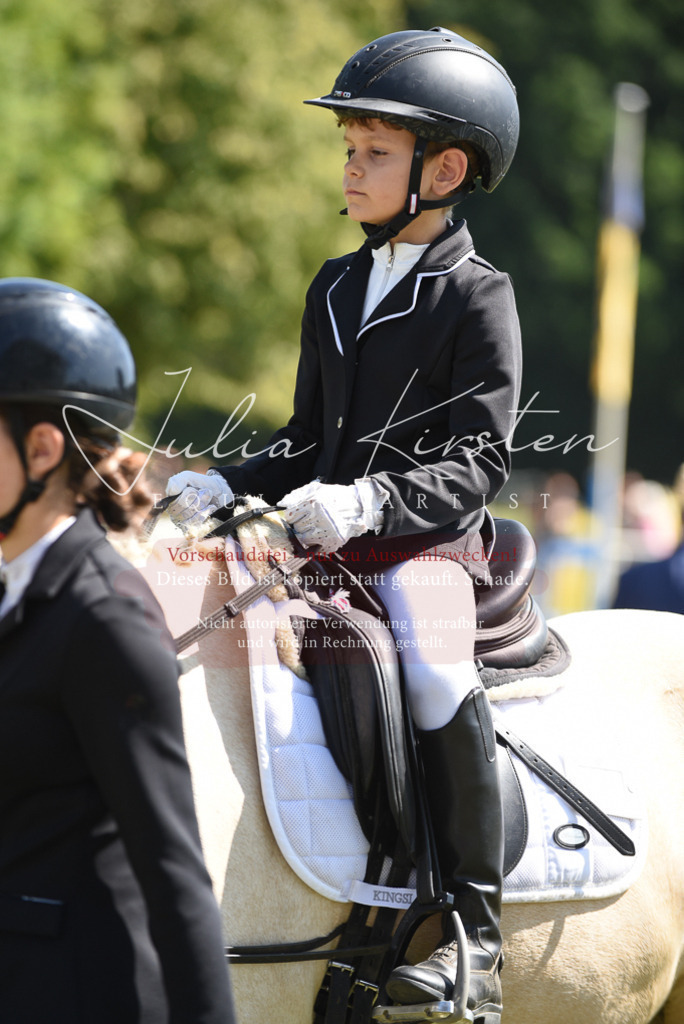 DSC_9711 | Pferde- und Turnierfotografie in Westsachsen. Pferdeportraits, Auftragszeichnungen und intuitive Kunst.