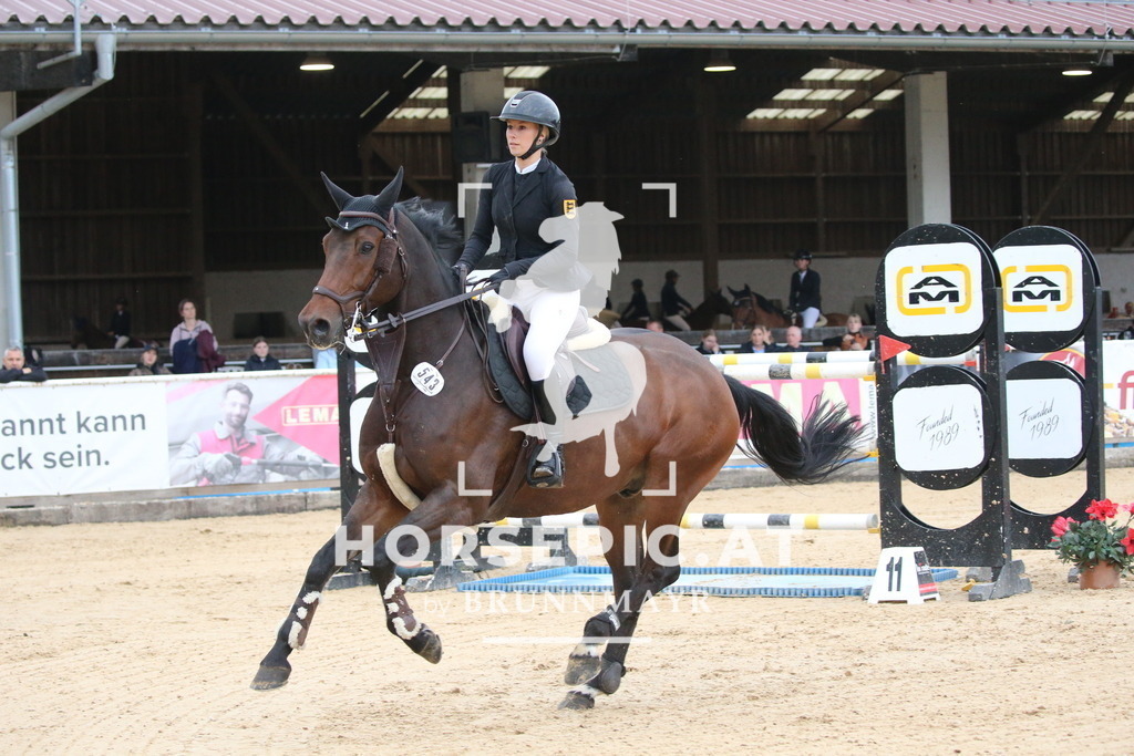 DL2Q6239 | Willkommen bei Brunnmayr - Design & Fotografie – Ihrem Spezialisten für Reitturniere und Pferdeveranstaltungen in Oberösterreich, Salzburg und Bayern! Seit über 17 Jahren sind wir leidenschaftlich dabei.
