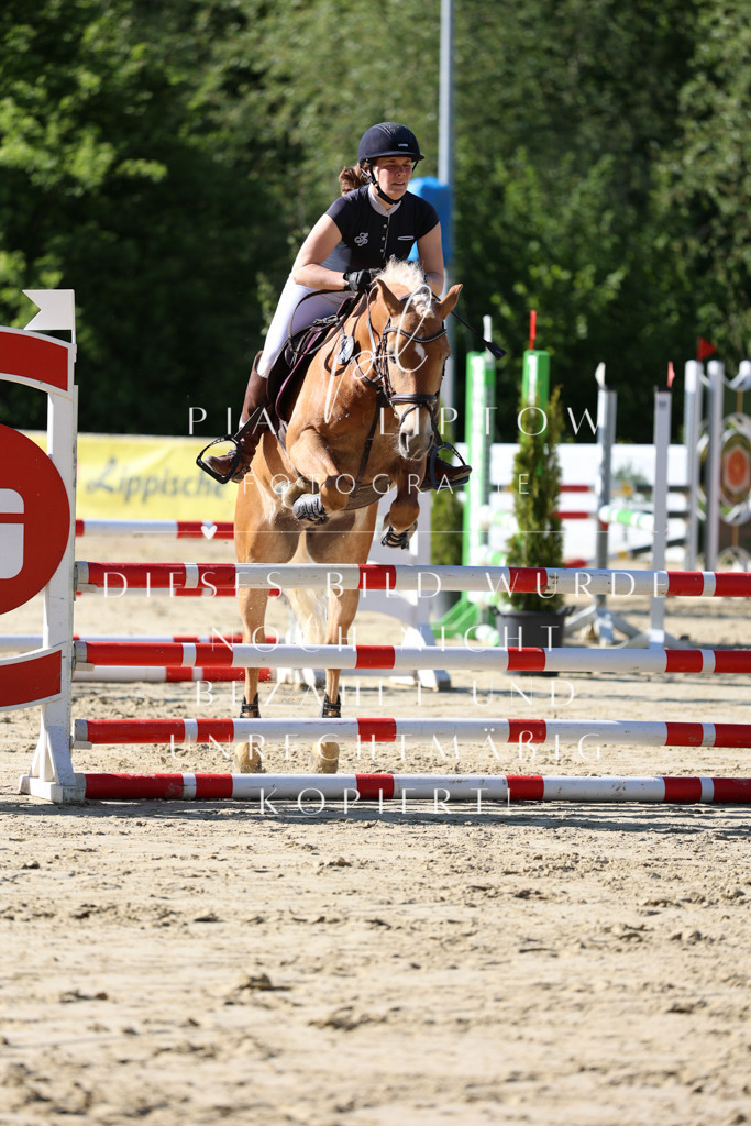 IMGS5555 | pl-fotografie