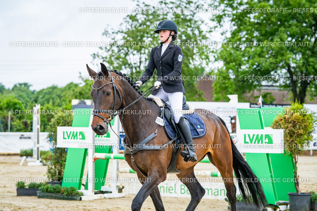 DSC02045 | Pferdegrafie