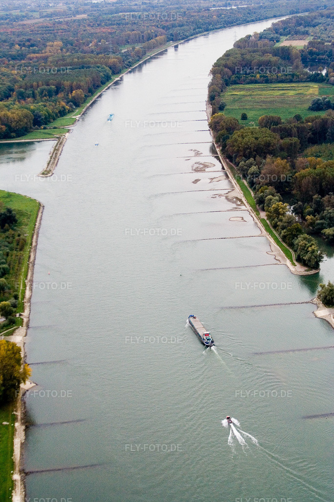 Luftbild: Rhein im Ortsteil Daxlanden in Karlsruhe im Bundesland Baden-Württemberg in Deutschland. Foto: IMG_13783.jpg vom 08.10.2008 durch Werner Riehm/FLY-FOTO.de