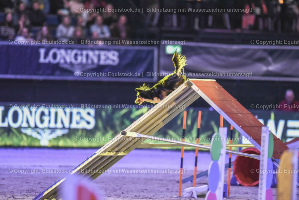 20231115_Dog-Agility_0163_TOMsPiC | Foto: Thomas Hartig