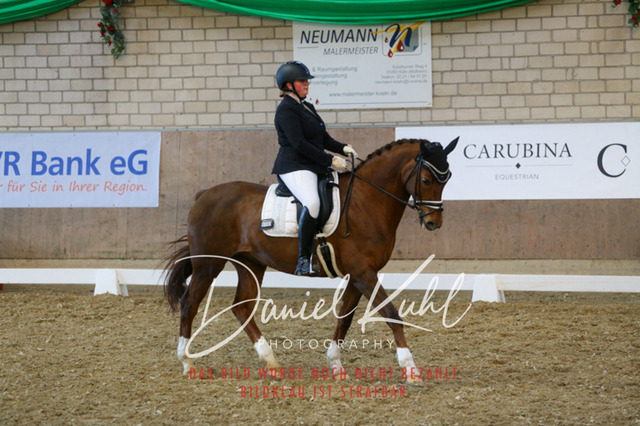 IMG_2957 | Turnierfotos kaufen im Webshop von Daniel Kuhl Photography – entdecke professionelle Reitsportfotos aus Turnieren & Events. Hochwertige Turnierbilder online bestellen & sichern. Jetzt Fotos von Reitsportturnieren kaufen!