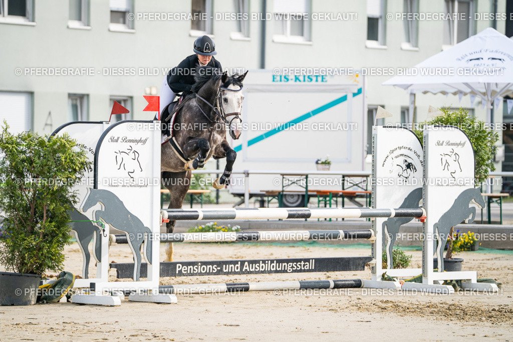 DSC09002 | Pferdegrafie