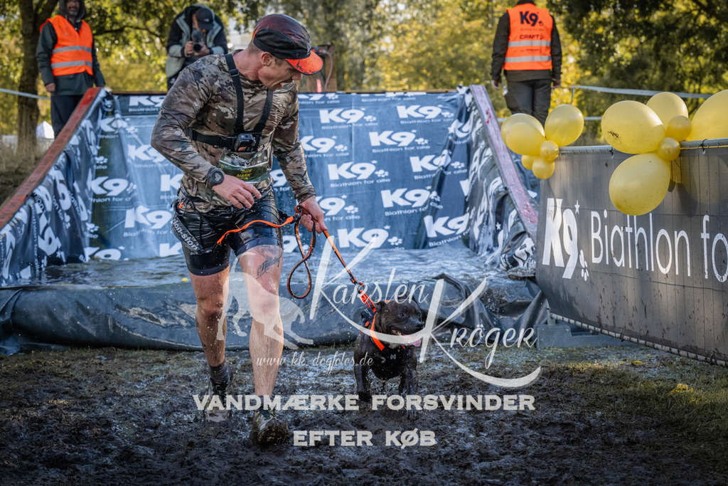 1511_ZZ94226 | kk-dogfotos