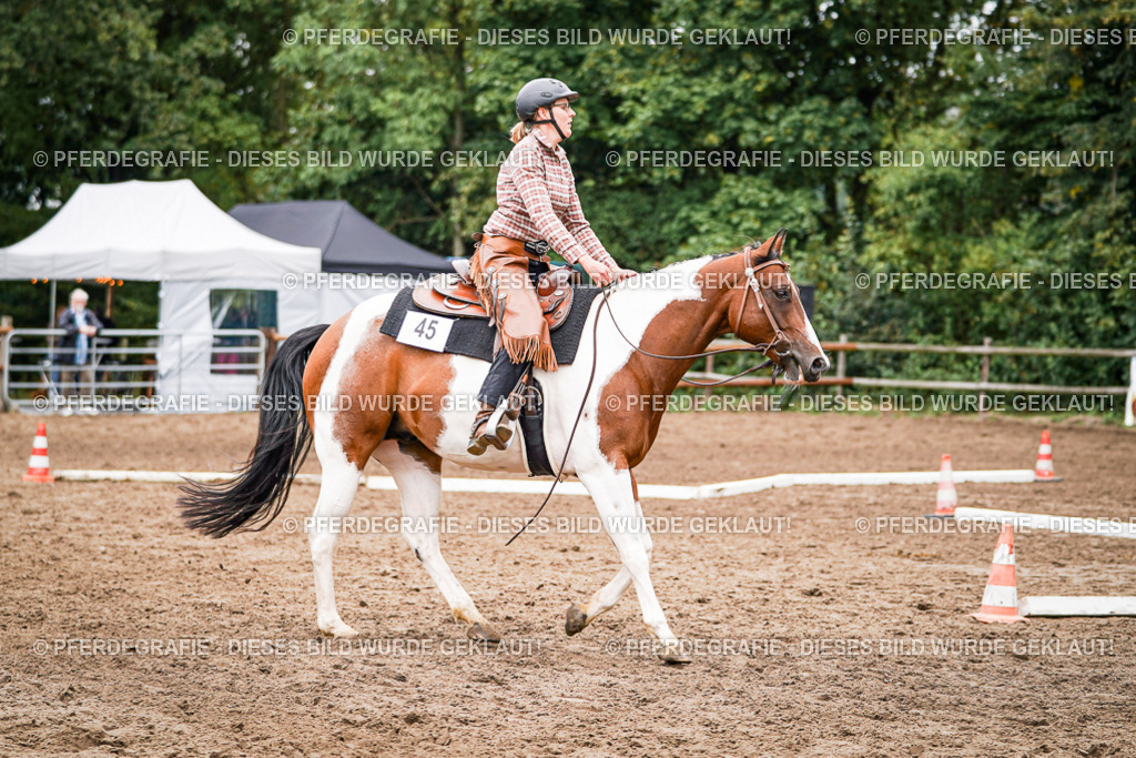 DSC04086 | Pferdegrafie