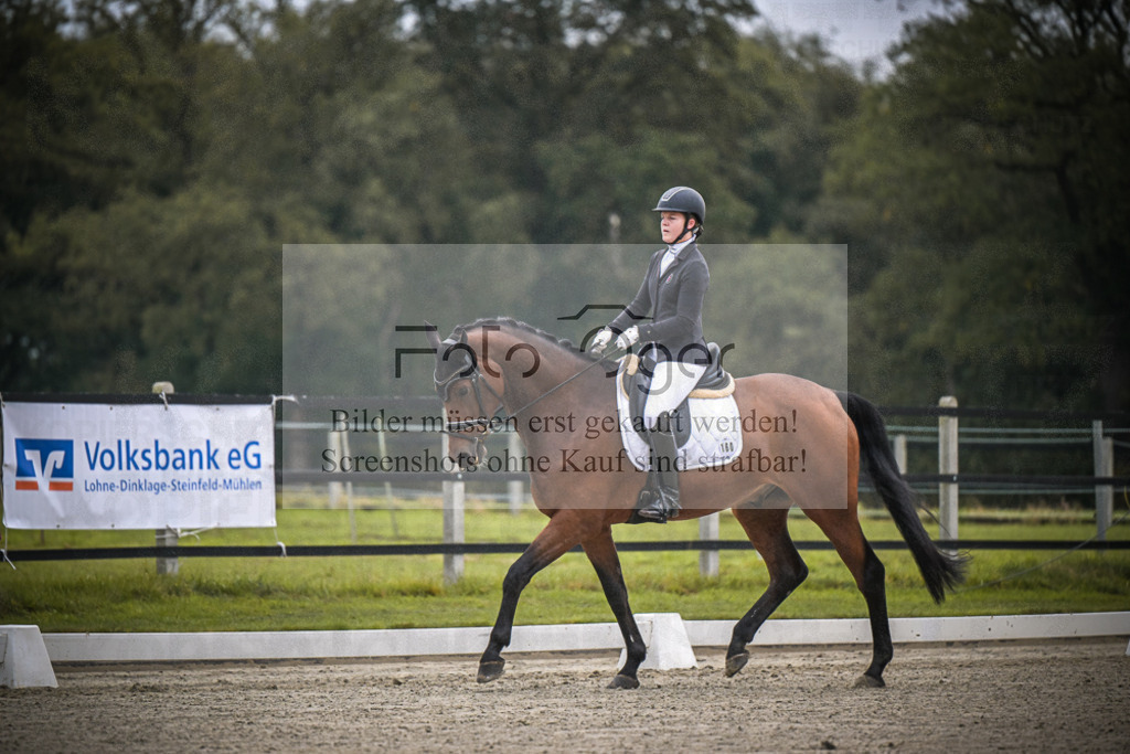 DOS_0574 | Entdecke hochwertige Reitturnierfotos von Foto Oger. Professionell, emotional und authentisch – jetzt Lieblingsmomente im Shop bestellen.Deutschlandweite Turnierfotografie. - Realisiert mit Pictrs.com