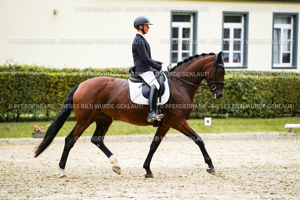 DSC08373 | Pferdegrafie