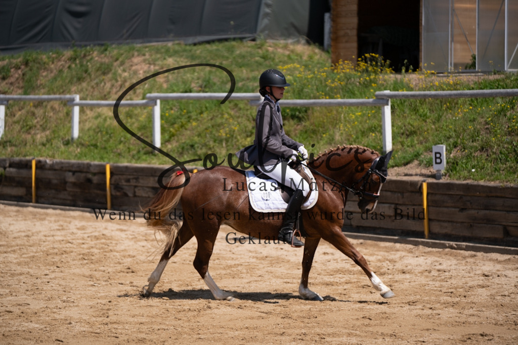 A7V08014 | Pferdefotograf