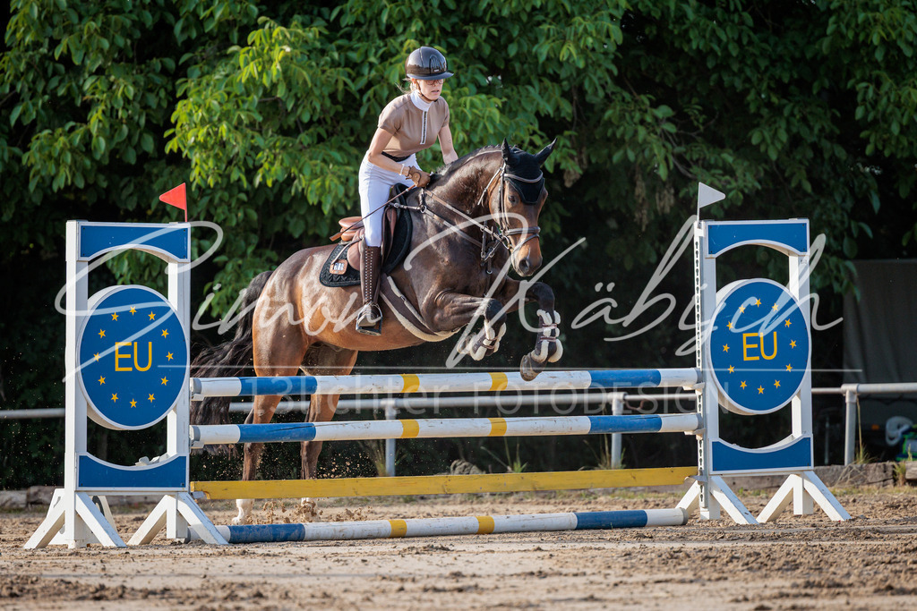 20260529-_3LI1130 | Tierfotografie Pferde, Hunde, Katzen, Haustiere.
Turnierfotografie Reitturniere, Reiten, Springreiten, Dressur in Hanau, dem Main-Kinzig-Kreis und dem Rhein-Main- Gebiet um Frankfurt