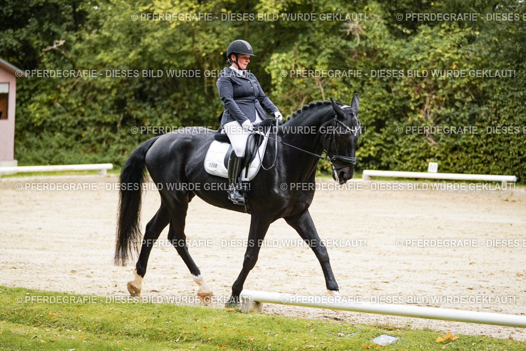 DSC08804 | Pferdegrafie