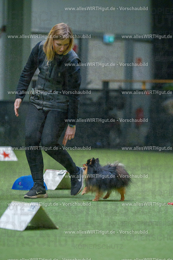 7R503471 | Professionelle Tierfotografie in Mönchengladbach von Daniel Wirth (allesWIRTHgut). Liebevolle & natürliche Bilder von Hunden & Katzen für unvergessliche Erinnerungen.