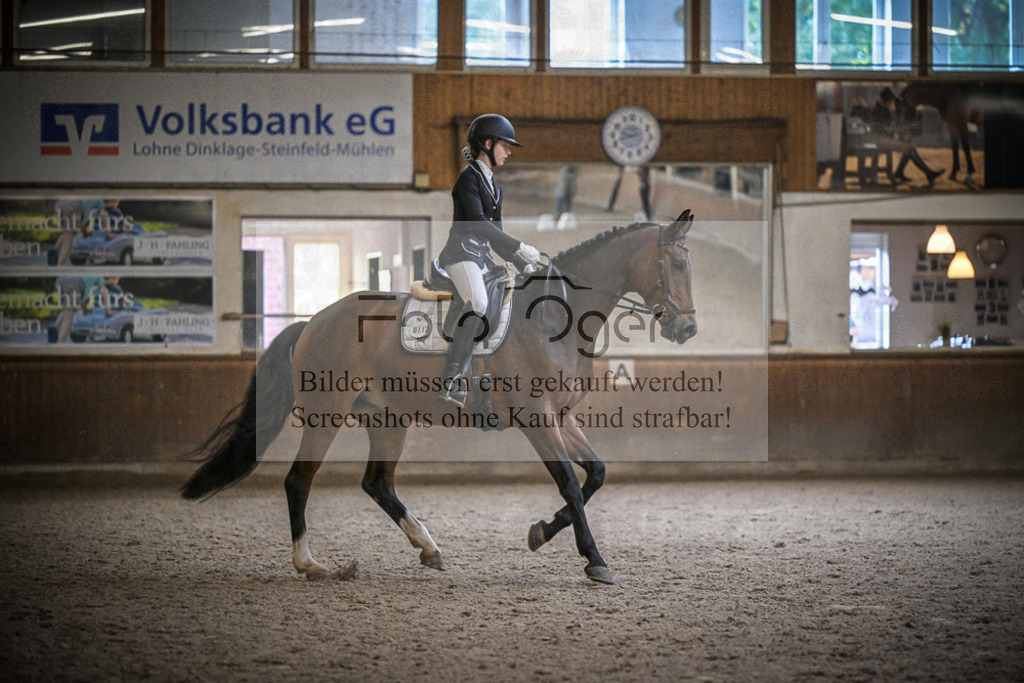 DOS_0153 | Entdecke hochwertige Reitturnierfotos von Foto Oger. Professionell, emotional und authentisch – jetzt Lieblingsmomente im Shop bestellen.Deutschlandweite Turnierfotografie. - Realisiert mit Pictrs.com