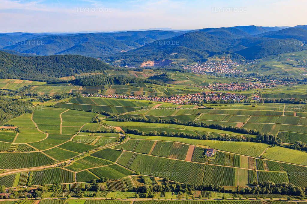 Luftbild: Winzerdörfer von Süden in Ranschbach im Bundesland Rheinland-Pfalz in Deutschland. Foto: IMG_30930.jpg vom 07.08.2010 durch Werner Riehm/FLY-FOTO.de