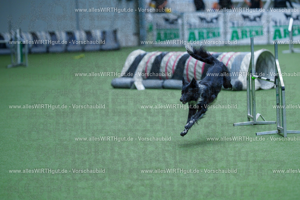 @allesWIRTHgut_Tierfotografie - www.allesWIRTHgut.de - 2604261239-7R501332 | Professionelle Tierfotografie in Mönchengladbach von Daniel Wirth (allesWIRTHgut). Liebevolle & natürliche Bilder von Hunden & Katzen für unvergessliche Erinnerungen.