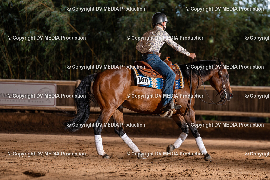 Erbach Tag 1-1217 | dv-media-shop - Realisiert mit Pictrs.com