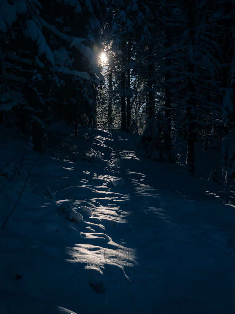 P1433329-LR | Natur im Moment - Realisiert mit Pictrs.com