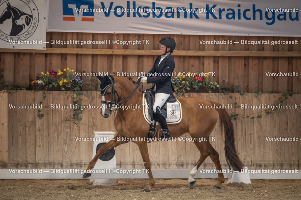 _D5A6108 | Emotionale Pferde- & People-Fotografie rund um Heidelberg, Leimen & Umgebung. Natürliche Fotos von Pferd, Mensch & Familie. Jetzt Termin sichern!