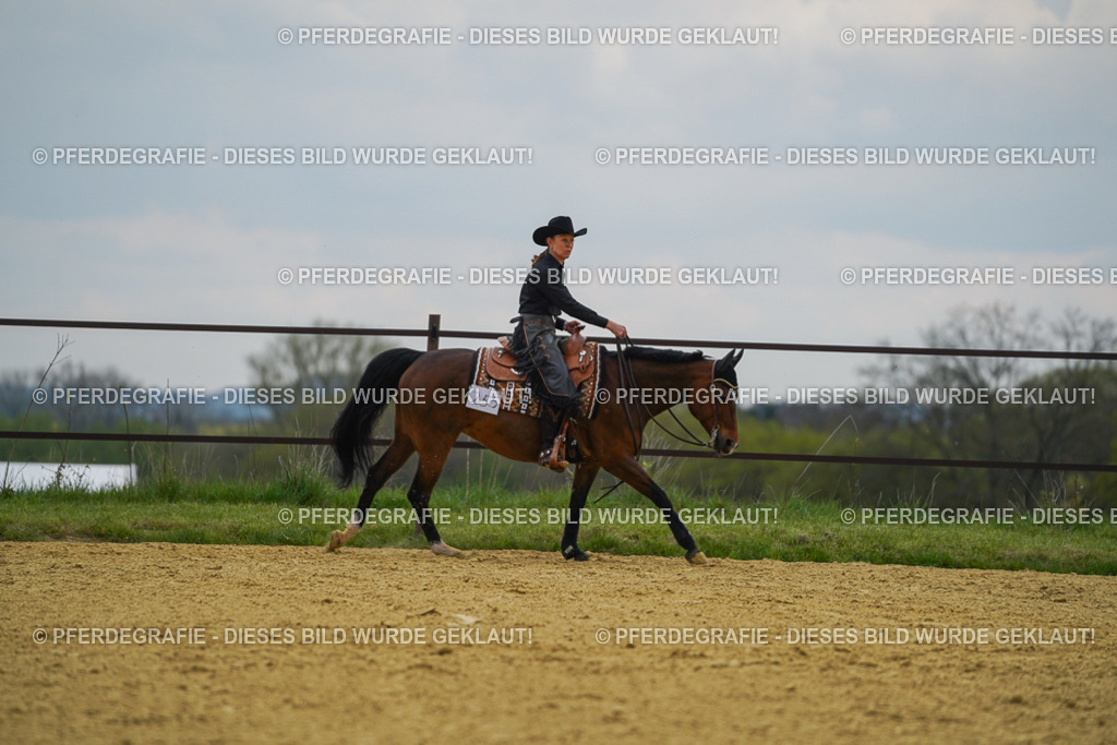 DSC07684 | Pferdegrafie