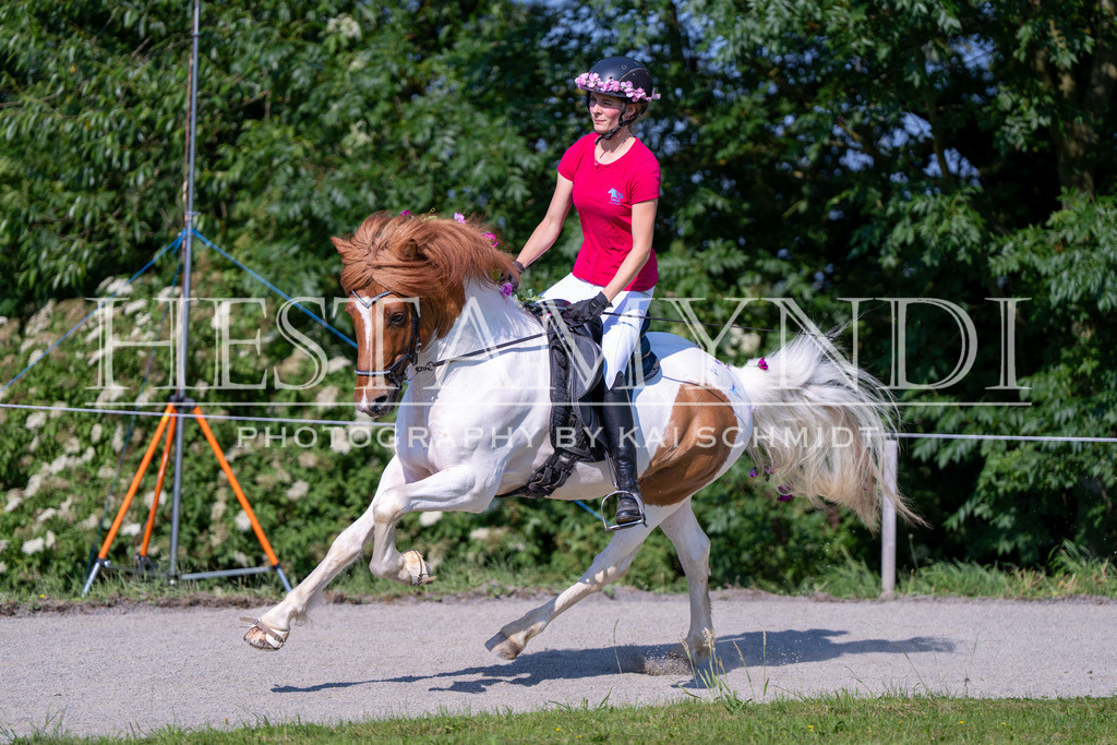 KAI06926 | Ihr sucht einen Fotografen für eure nächste OSI? Ich begleite auch euer Turnier für Islandpferde fotografisch.  - Realisiert mit Pictrs.com
