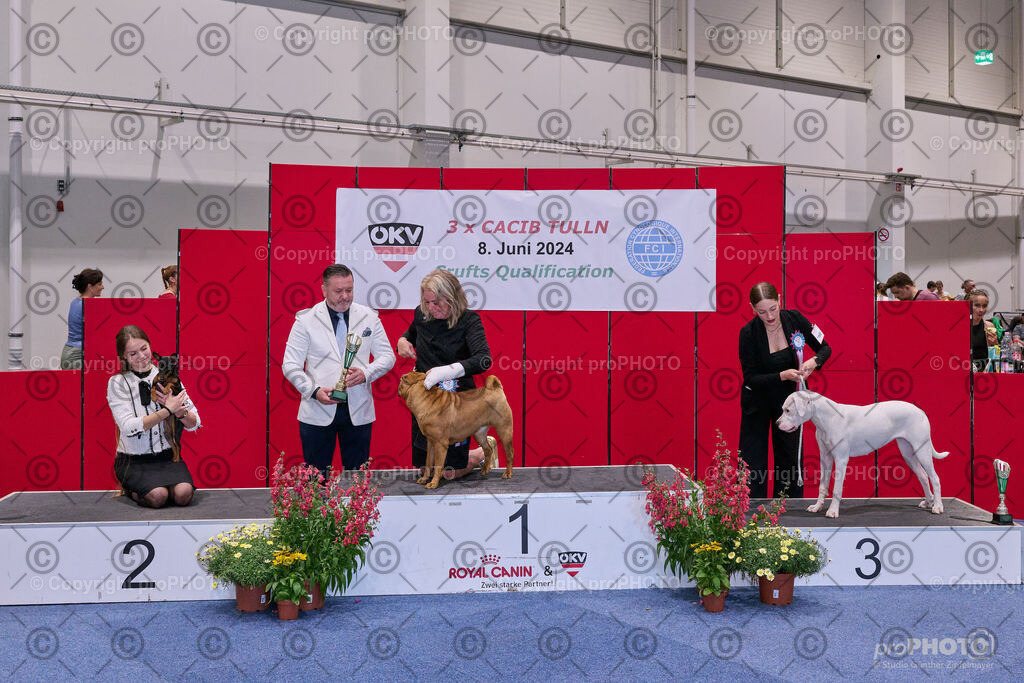 202406_ÖKV-IHA-Tulln24_NZ9_8610 | proPHOTO - Realisiert mit Pictrs.com