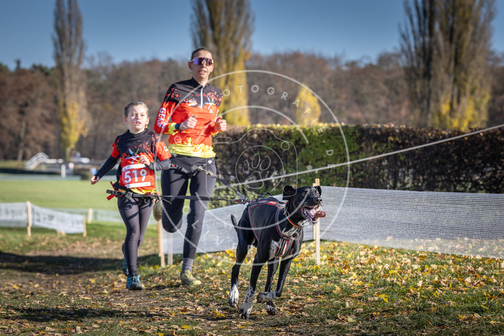 CaniXpix_DV3A8096 | Hundefotografie, Tierfotograf, Pfotenfotografie, Fotoshooting Hund, Hunde Portrait, Hundesport, Hundeportraits, Heideshooting, Hunde, Sportfotograf, Hundefotograf, Turnierhundsport, THS,  - Realisiert mit Pictrs.com