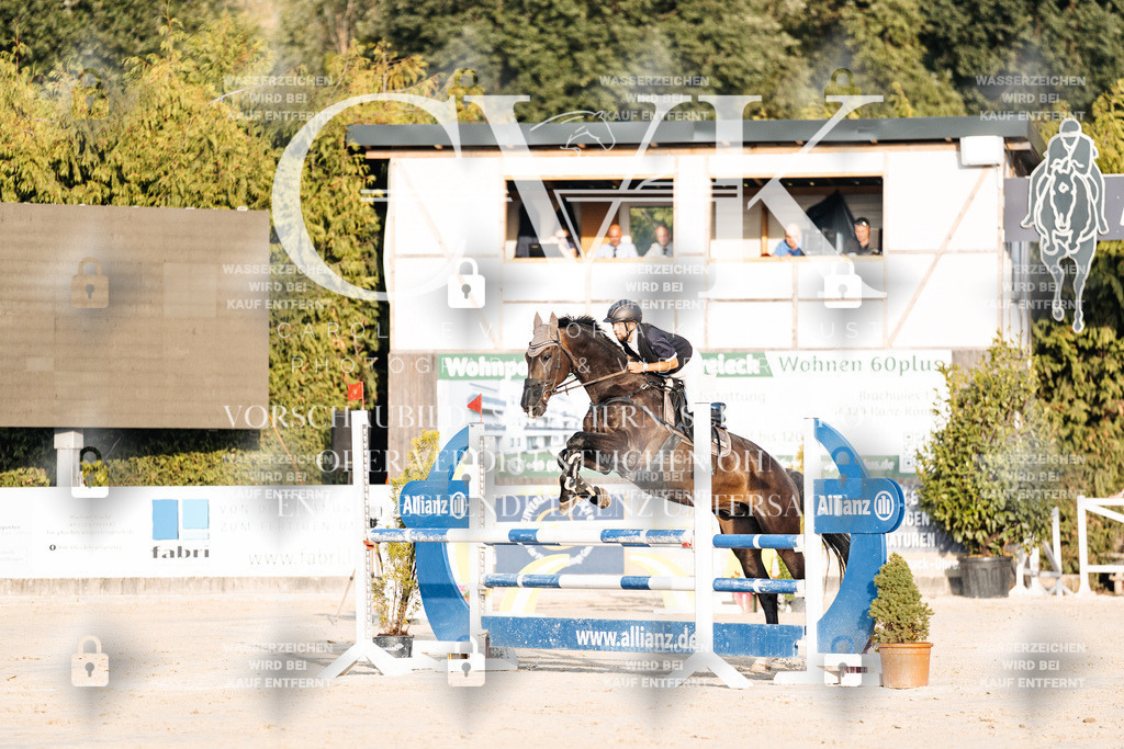 CK900802 | Turnierfotografie Pferdefotografie Trier Rheinland-Pfalz Pferdesport Reitsport Tierfotografie Sportfotografie Pferdevideo Pferdevideografie Equestrianvideography equestrianphotography  - Realisiert mit Pictrs.com