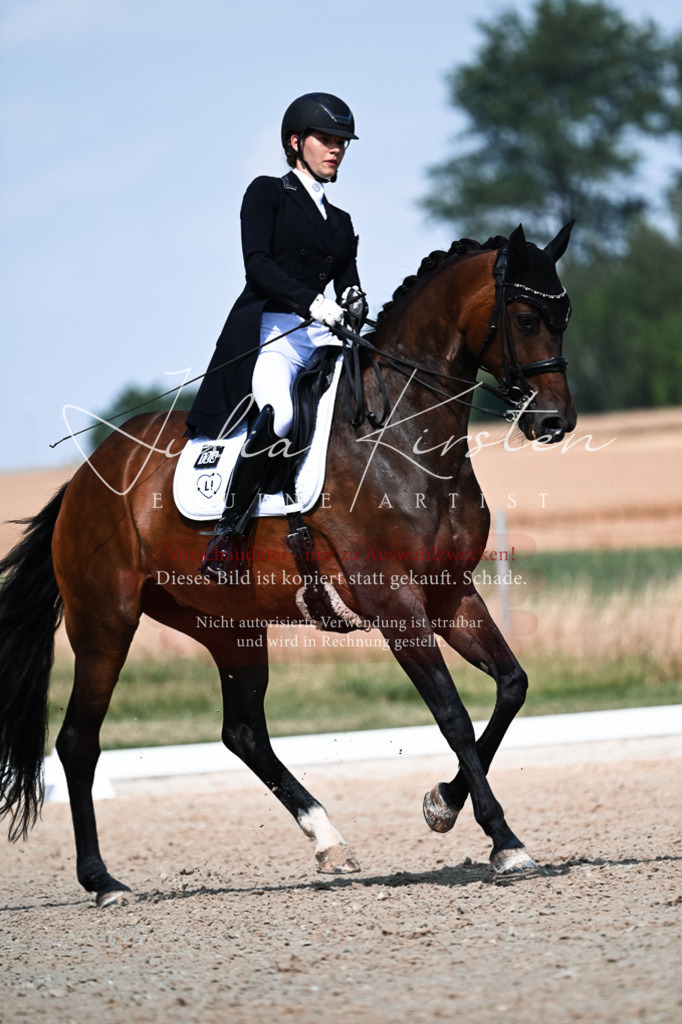 DSC_3088 | Pferde- und Turnierfotografie in Westsachsen. Pferdeportraits, Auftragszeichnungen und intuitive Kunst.