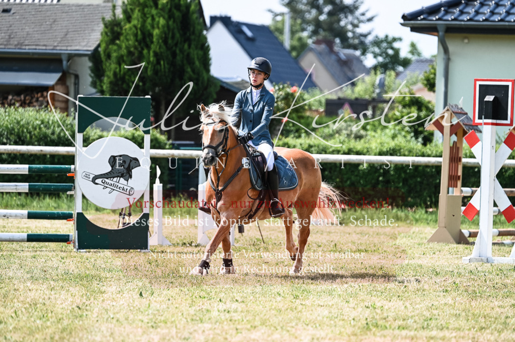 DSC_8781 | Pferde- und Turnierfotografie in Westsachsen. Pferdeportraits, Auftragszeichnungen und intuitive Kunst.