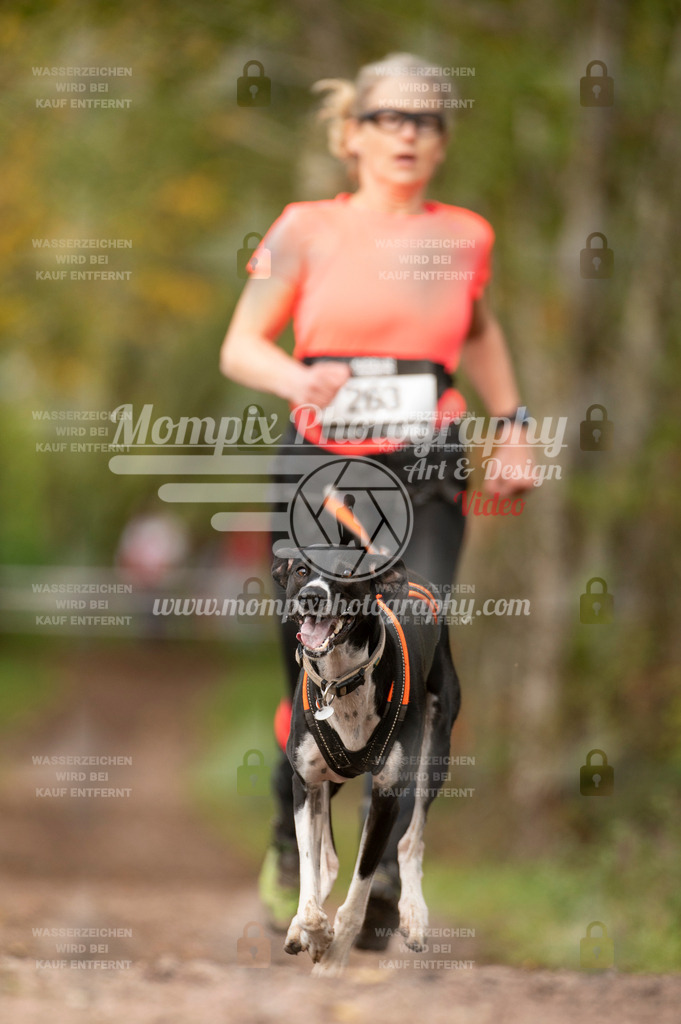 TSB_2023_E4_Canicross-101 | PayLife