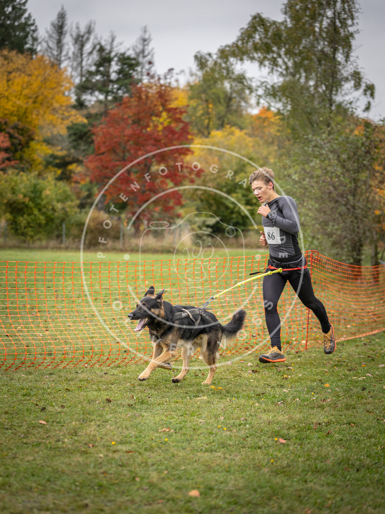 Pfotenfotografie_DV3A3167 | Hundefotografie, Tierfotograf, Pfotenfotografie, Fotoshooting Hund, Hunde Portrait, Hundesport, Hundeportraits, Heideshooting, Hunde, Sportfotograf, Hundefotograf, Turnierhundsport, THS,  - Realisiert mit Pictrs.com