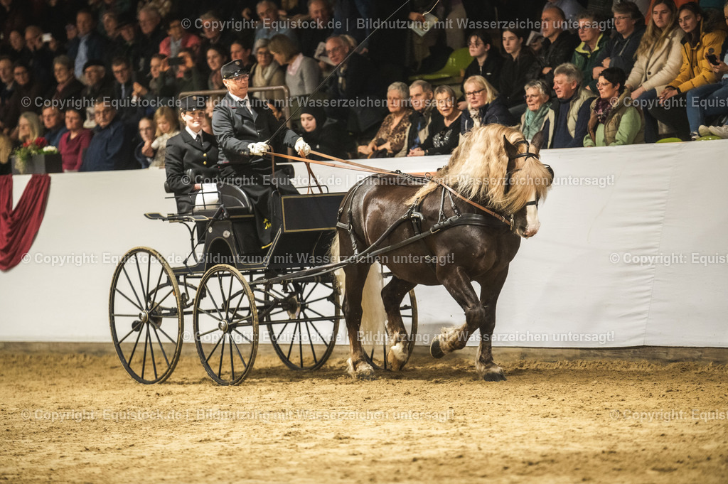 20240302_Hengstvorstellung_Marbach_TOMsPiC_0609 | equistock