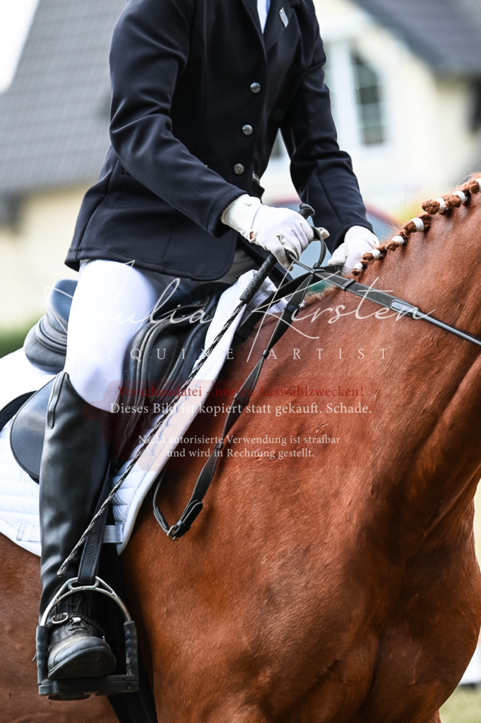 DSC_9068 | Pferde- und Turnierfotografie in Westsachsen. Pferdeportraits, Auftragszeichnungen und intuitive Kunst.