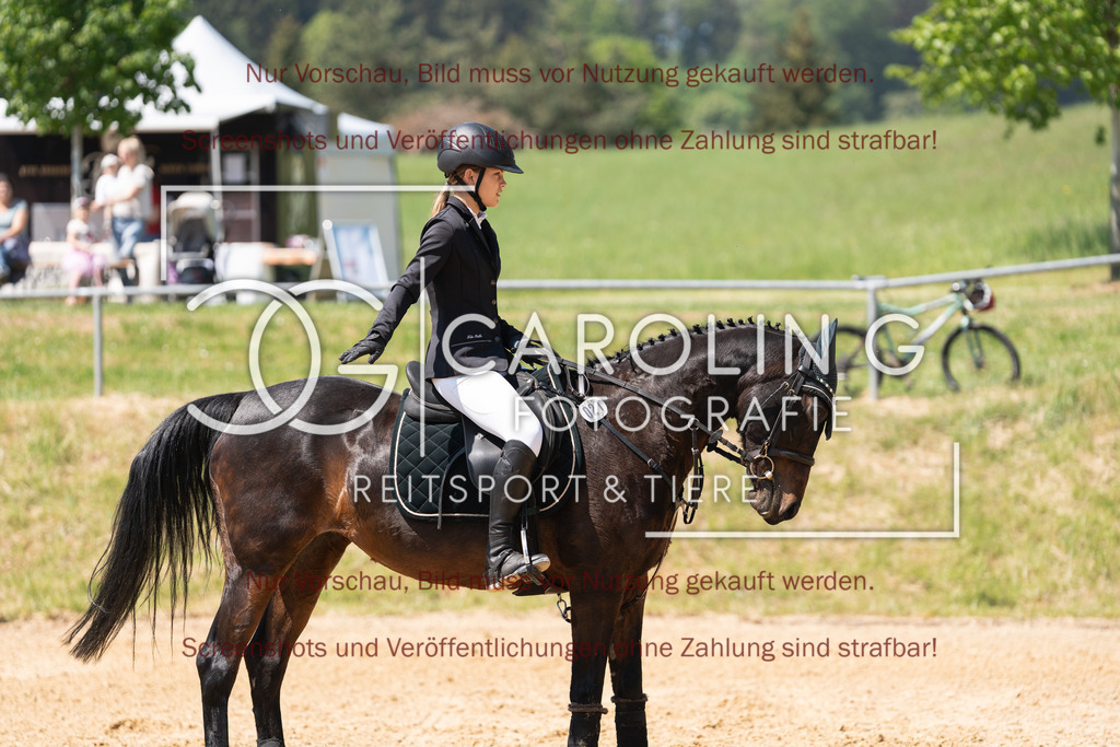 DSC04389 | Springturnier_Ehingen_Mai_2026, Jamila_Unsöld, Abigale_D