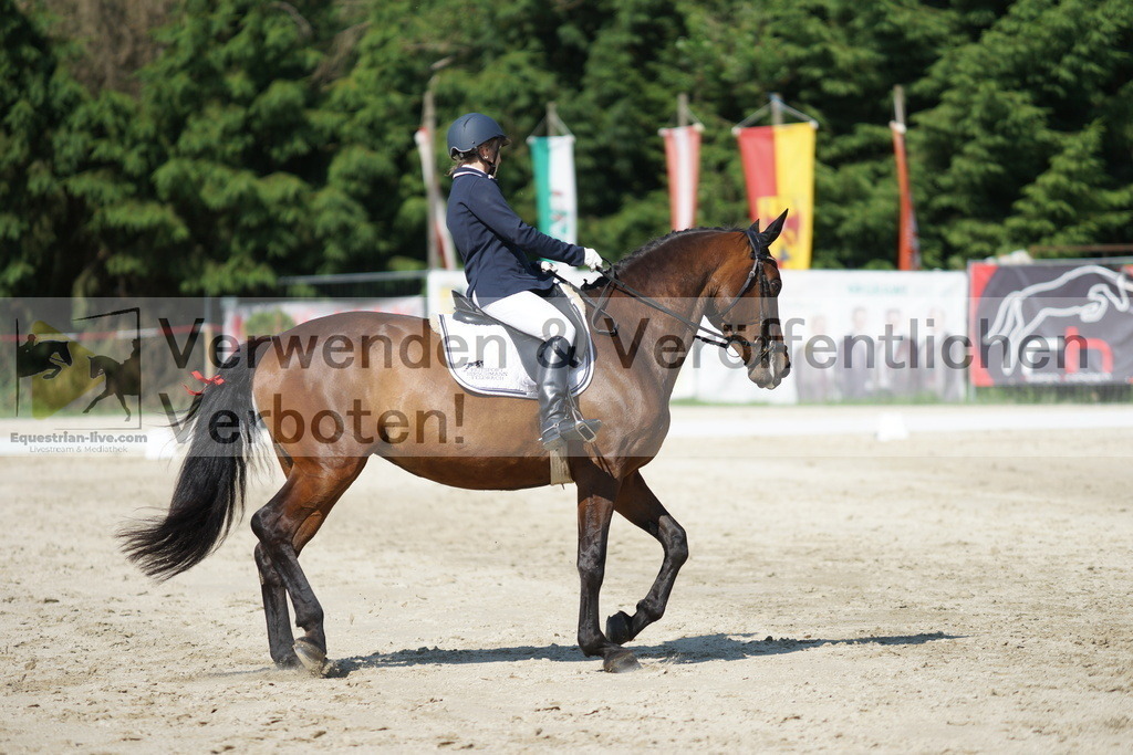 DSC02981 | equestrian-live-com