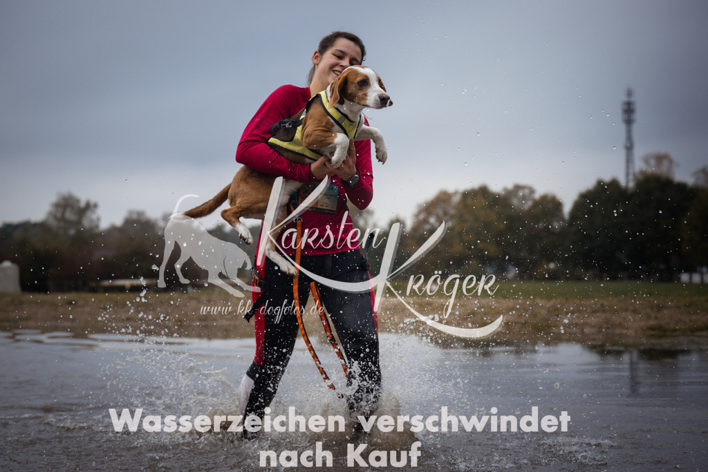 1323_ZZ93990 | kk-dogfotos